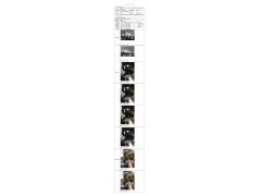 WTF20F06039831H 2022 公示信息