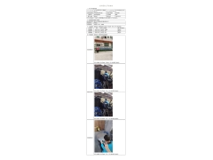 WTZ20F06036056H 2022 公示信息