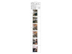 WTF20F06032987H 2022 公示信息