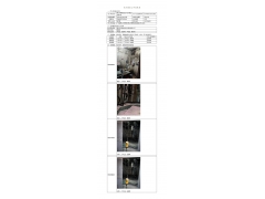 WTF20F07044503H 2022 公示信息