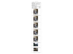 WTF21F11119561H 2022 公示信息
