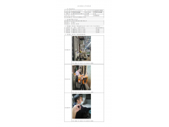 WTZ20F11085486H 2022 公示信息