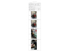 WTF20F10073210H 2022 公示信息