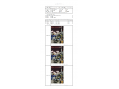 WTF20F11083495H 2022 公示信息