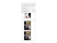 WTF21F01009295H 2022 公示信息