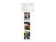 WTF21F03024806H 2022 公示信息