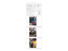 WTZ21F04035775H 2022 公示信息