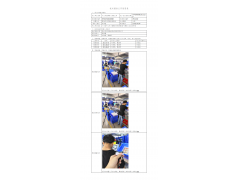 WTZ21F06063989H 2022 公示信息