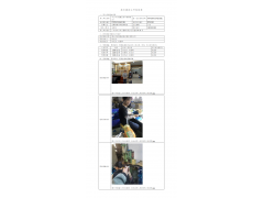 WTZ20F12096710H 2022 公示信息