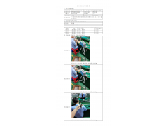 WTH20F08052614H 2022 公示信息