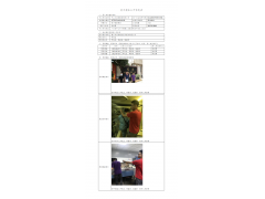 WTZ21F04030851H 2022 公示信息