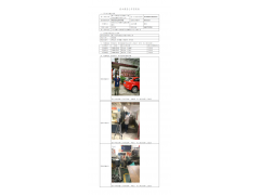 WTF20F12097954H 2022 公示信息