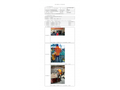 WTZ20F06038439H 2022 公示信息
