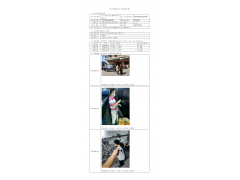 WTZ20F09063841H 2022 公示信息