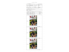 WTF20F11090735H 2022 公示信息