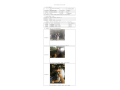 WTF20F07051390H 2022 公示信息