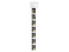 WTF20F09068104H 2022 公示信息