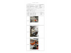 WTZ20F10078517H 2022 公示信息