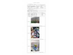 WTZ20F09069729H 2022 公示信息