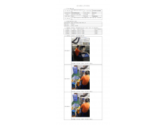 WTF20F09062821H 2022 公示信息