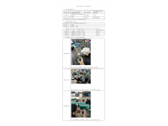 WTZ20F11085238H 2022 公示信息