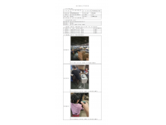 WTZ20F09064317H 2022 公示信息