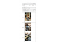 WTZ20F11089549H 2022 公示信息