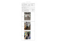 WTZ20F10080528H 2022 公示信息