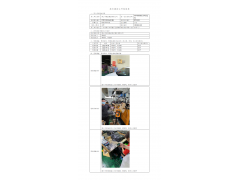 WTF22F03046328H 2022 公示信息