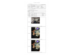 WTF20F11088966H 2022 公示信息