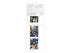 WTZ20F12096068H 2022 公示信息