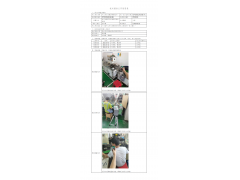 WTZ20F06038438H 2022 公示信息