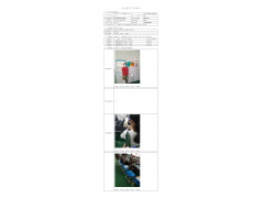 WTF20F07045939H 2022 公示信息