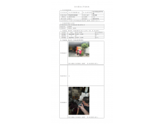 WTZ22F03058994H 2022 公示信息