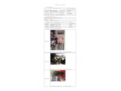 WTZ22F03049297H 2022 公示信息
