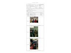WTF20F06040971H 2022 公示信息