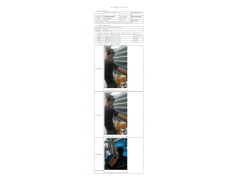 WTF20F12095298H 2022 公示信息