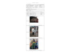 WTZ22F03053939H 2022 公示信息