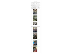 WTZ22F04062753H 2022 公示信息