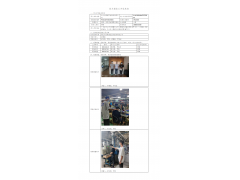 WTZ22F04081981H 2022 公示信息