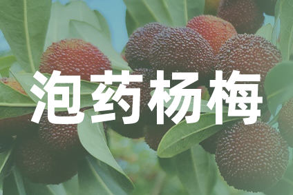 “泡药杨梅”敲响警钟：哪些食品添加剂看似常用却最容易翻车？